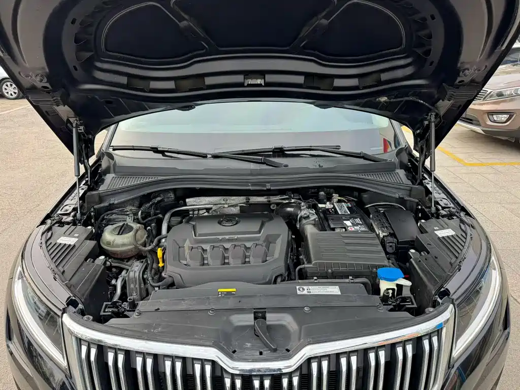 Skoda Kodiaq 2020 — фото 10