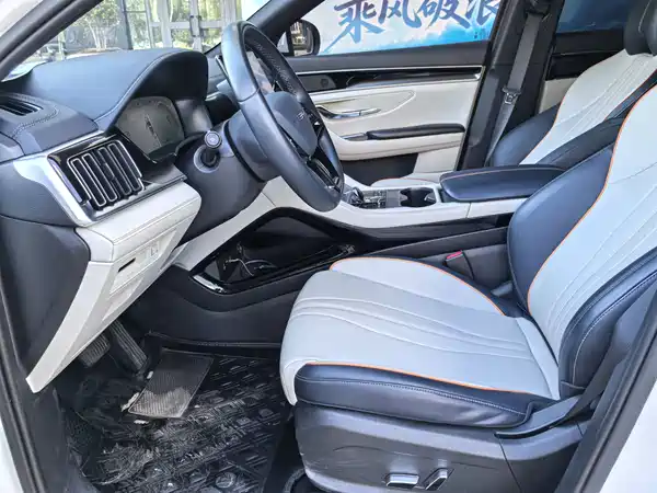 BYD Song PLUS New Energy 2024