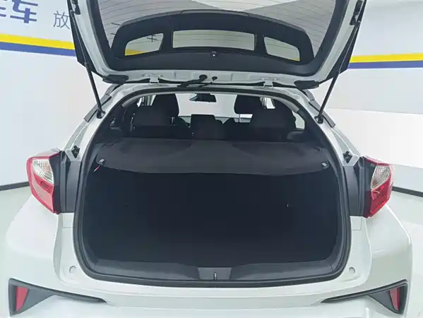Toyota IZOA 2021