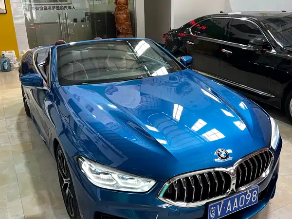 BMW 8 Series 2019