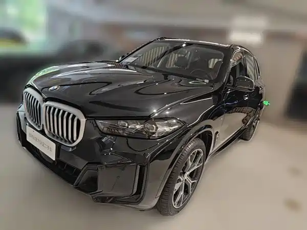 BMW X5 2025