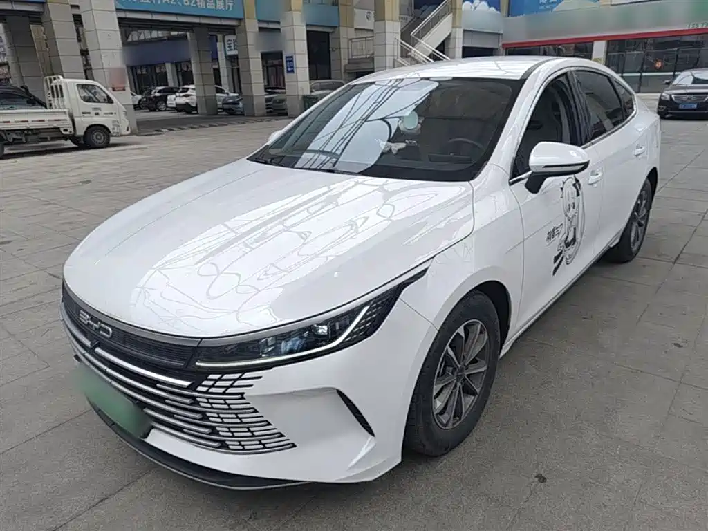 BYD Destroyer 05 2024 — фото 2