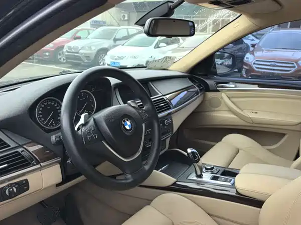 BMW X6 2010