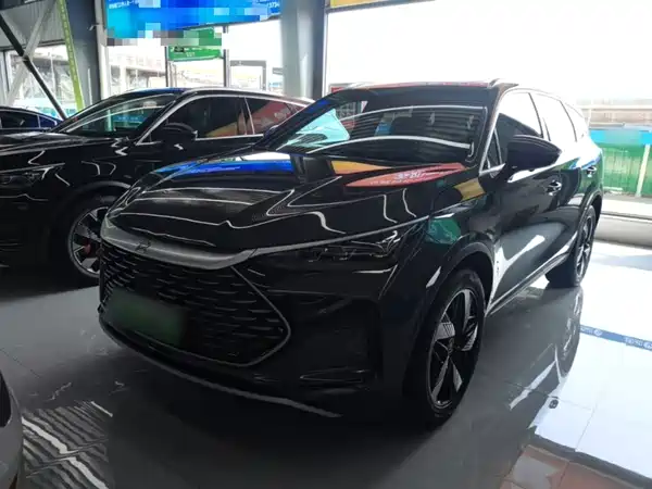 BYD Tang New Energy 2024