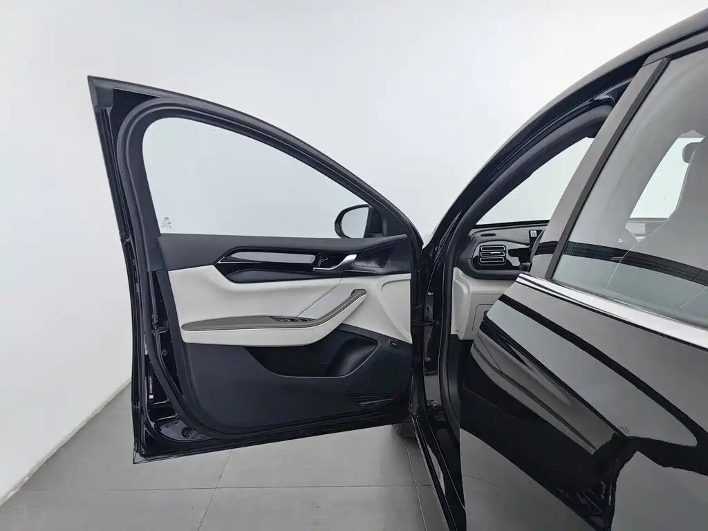 BYD Qin PLUS 2024 — фото 8