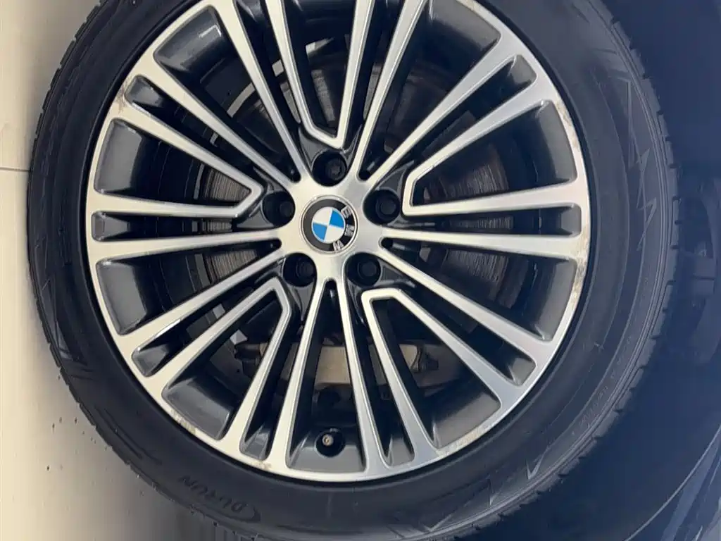 BMW 5 Series 2018 — фото 9