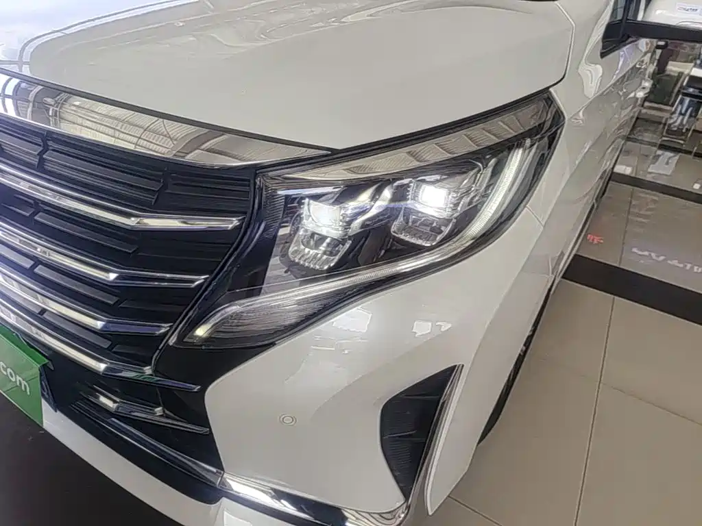 GAC Trumpchi M8 2021 — фото 24