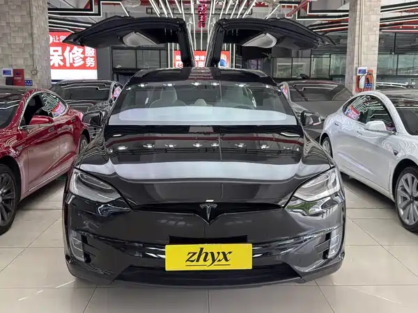 Tesla Model X 2020