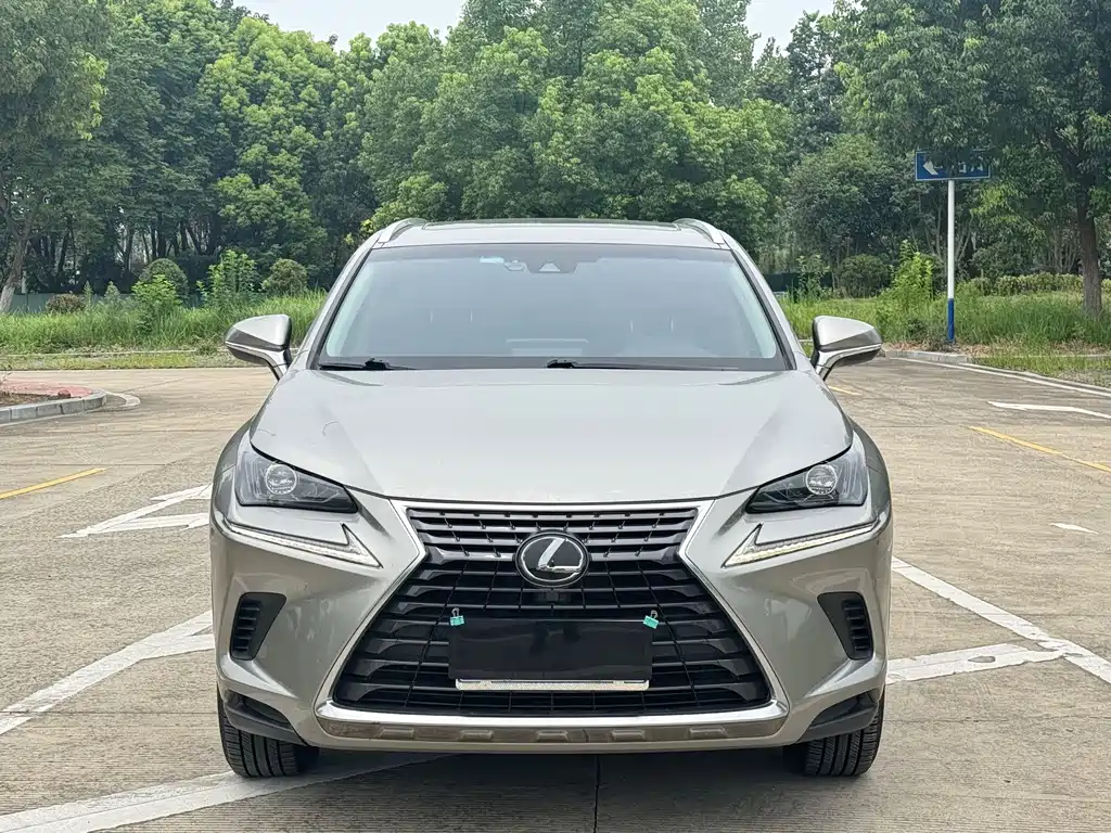 Lexus NX 2017 — фото 2