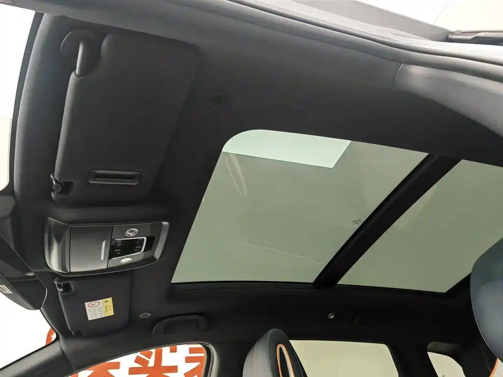 BYD PLUS New Energy 2023 — фото 14