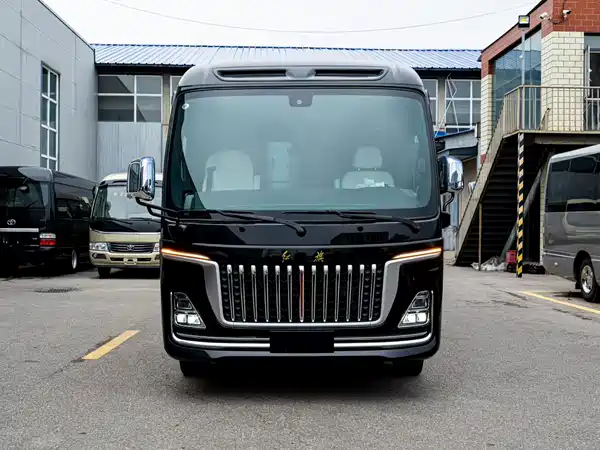 Hongqi Golden Sunflower 2024