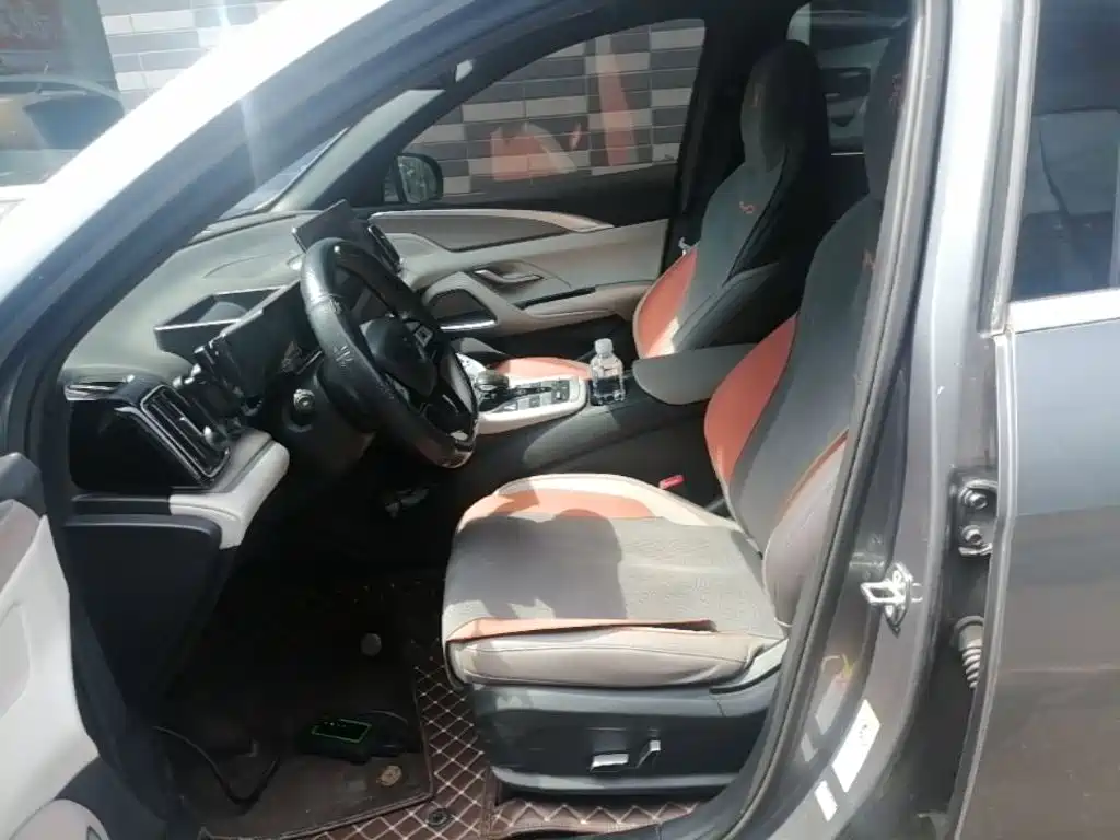 BYD Song Pro New Energy 2024 — фото 15