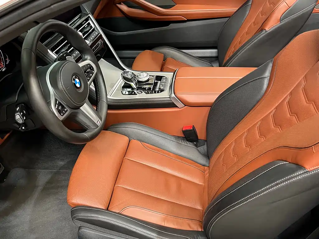 BMW 8 Series 2019 — фото 13