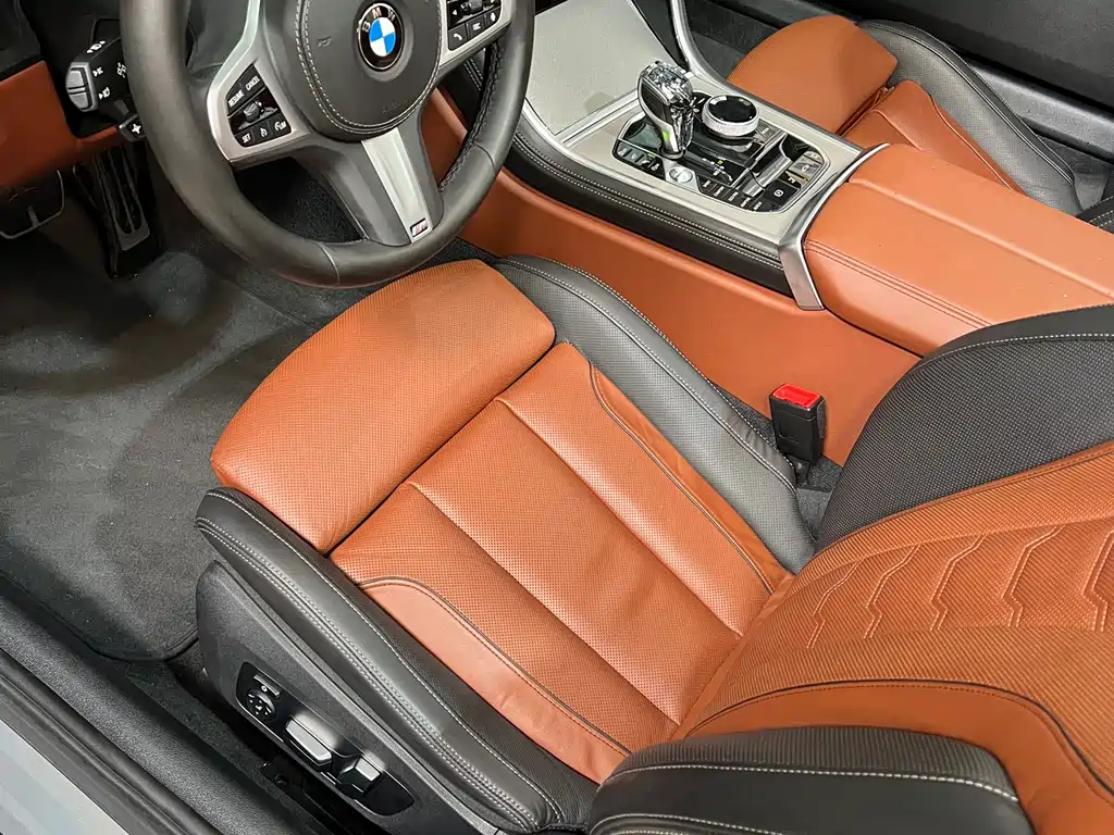 BMW 8 Series 2019 — фото 14