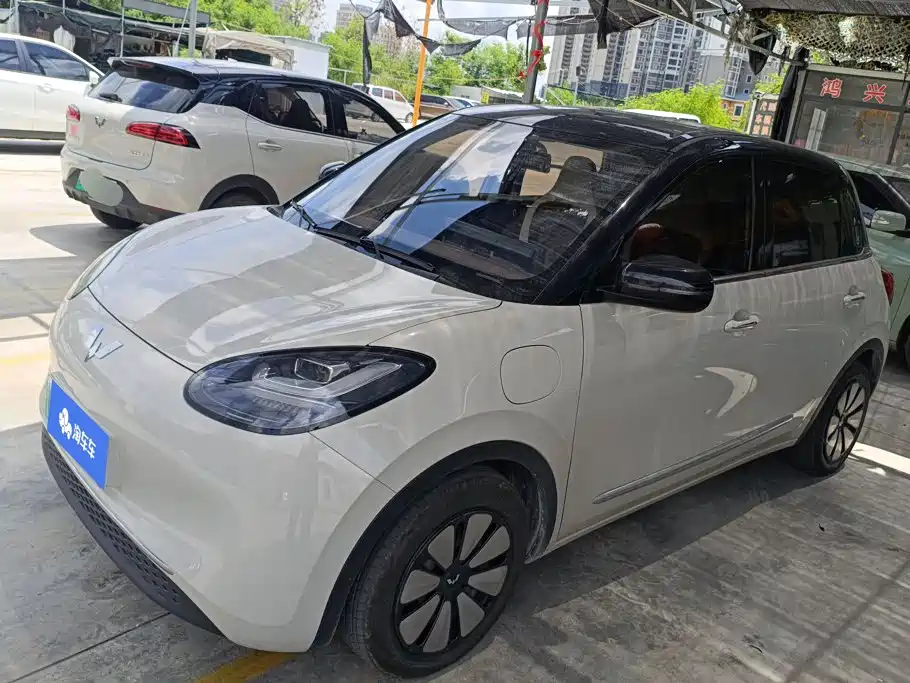 Wuling Bingo 2024
