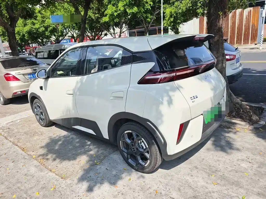 BYD Seagull 2025