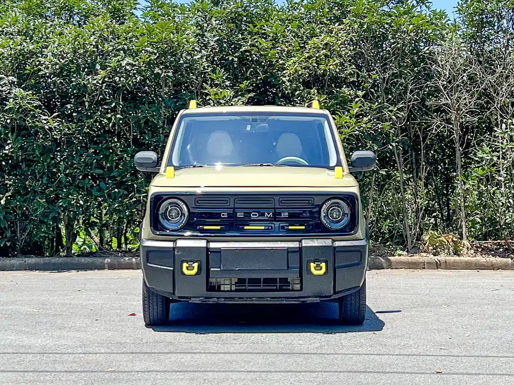 Galaxy Panda 2024