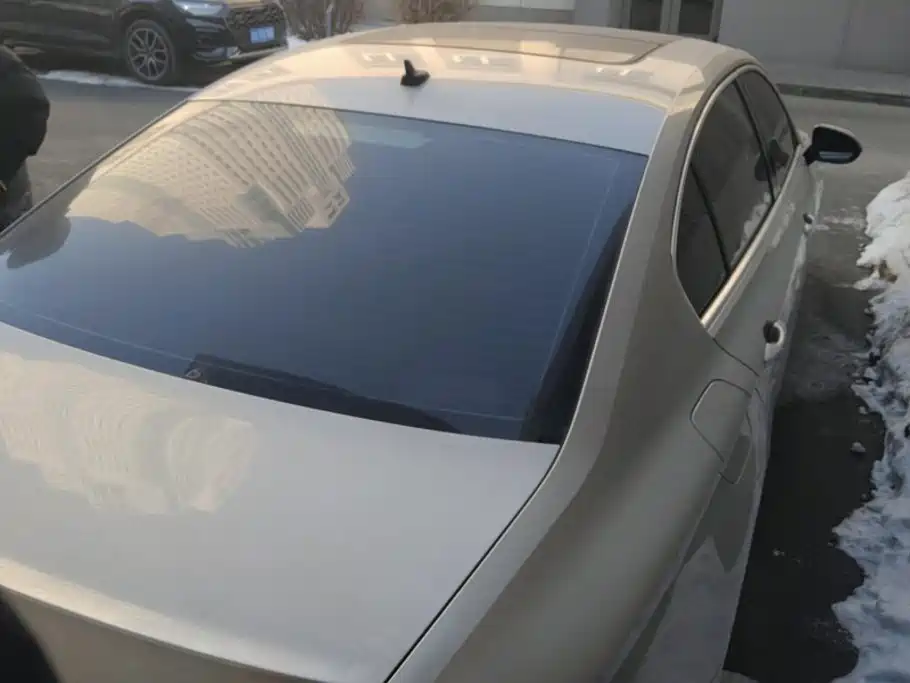 Volkswagen Magotan 2019