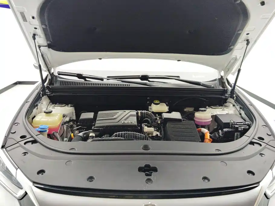 BYD Song Pro New Energy 2023 — фото 10
