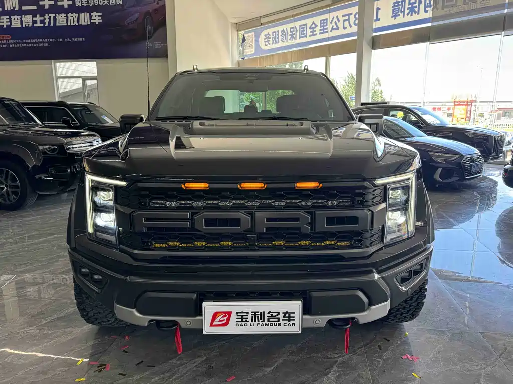 Ford F-150 Raptor 2024 — фото 9
