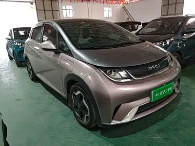 BYD Dolphin 2021