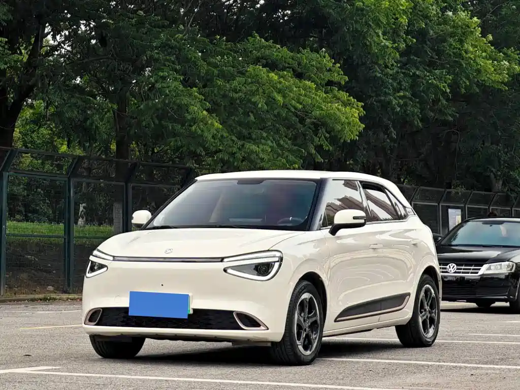 Dongfeng Nano 01 2024