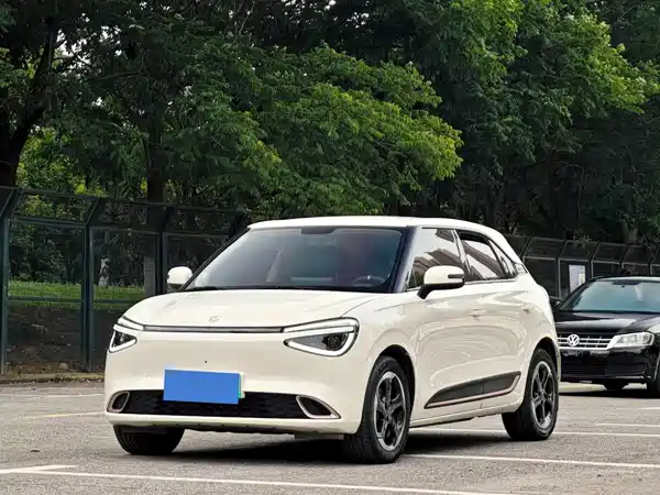 Dongfeng Nano 01 2024