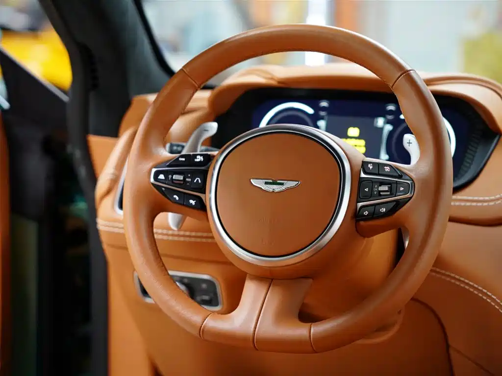 Aston Martin DBX 2023 — фото 51