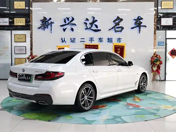 BMW 5 Series New Energy 2022
