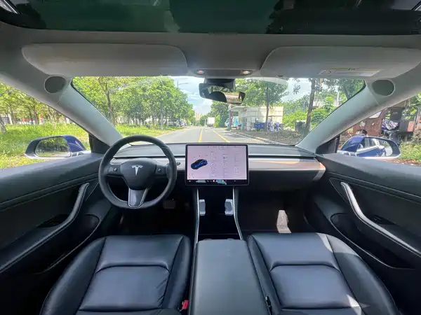 Tesla Model 3 2020