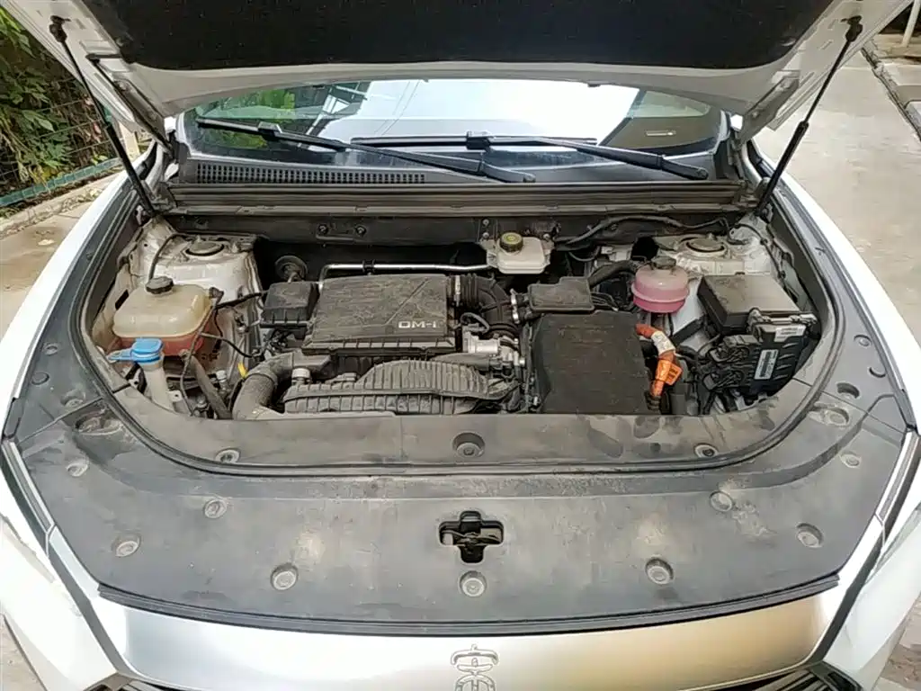 BYD Pro New Energy 2022 — фото 20