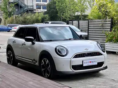 MINI MINI 2025