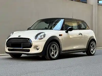 MINI MINI 2014