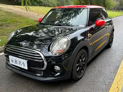 MINI MINI 2015