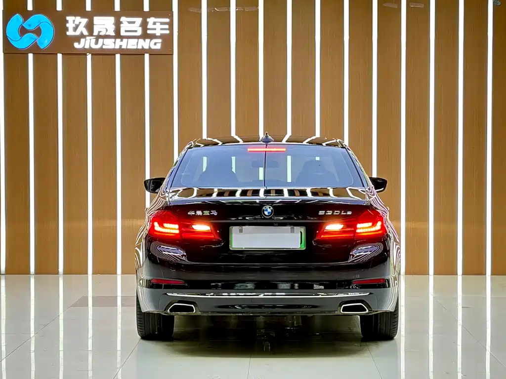 BMW 5 Series New Energy 2018 — фото 19