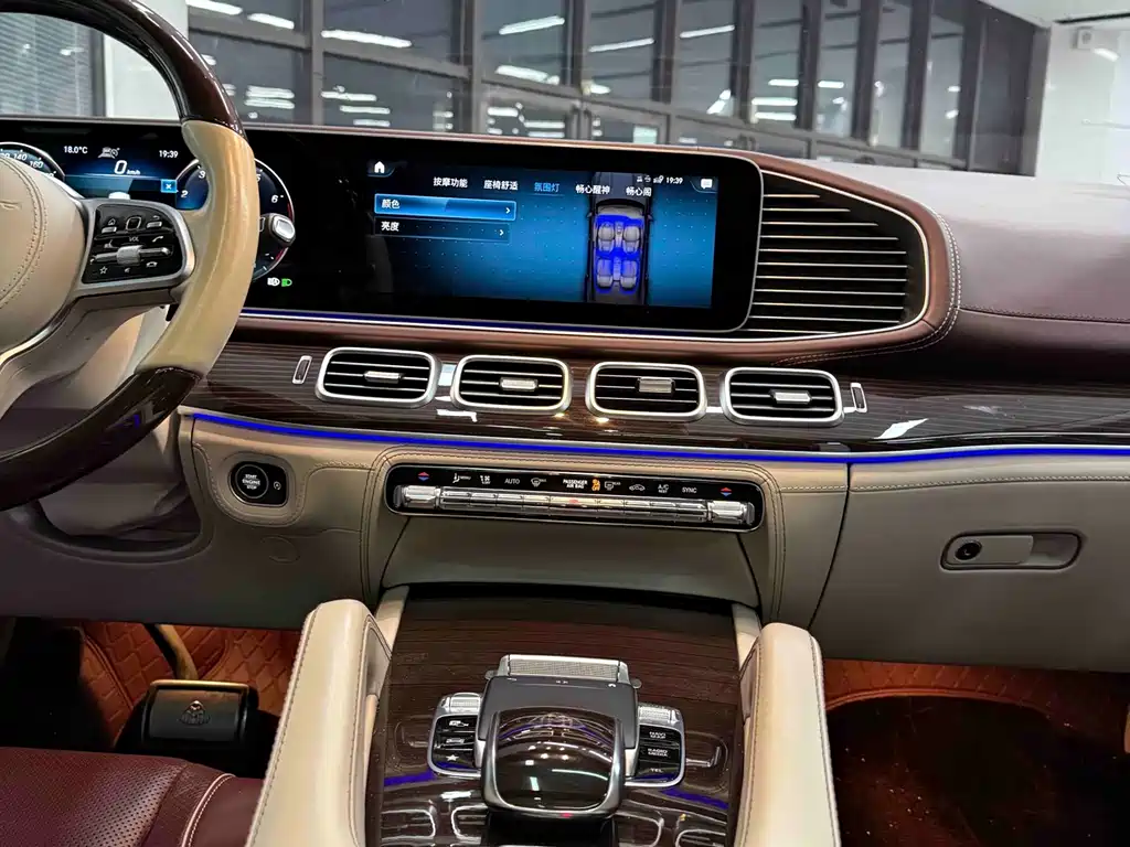 Mercedes-Benz Maybach GLS 2021 — фото 25