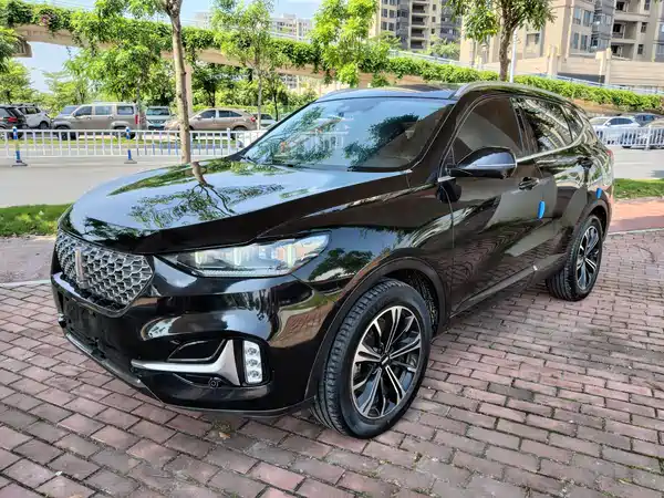 Wey VV6 2020