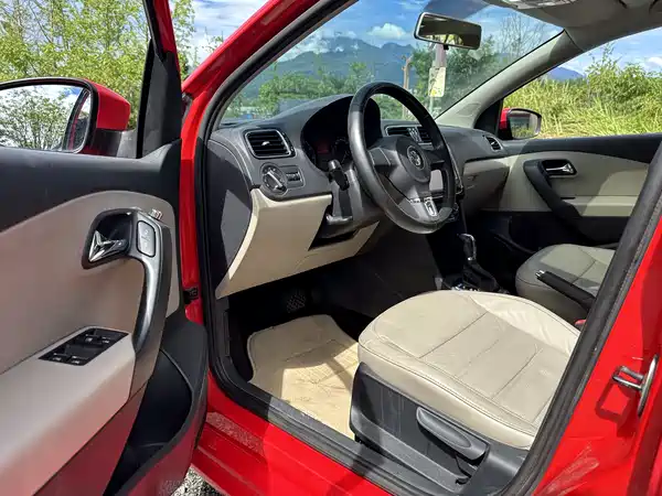 Volkswagen Polo 2010