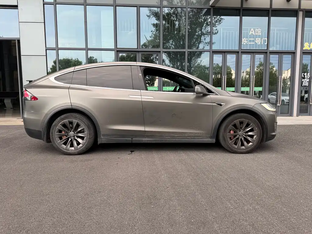 Tesla Model X 2020 — фото 10