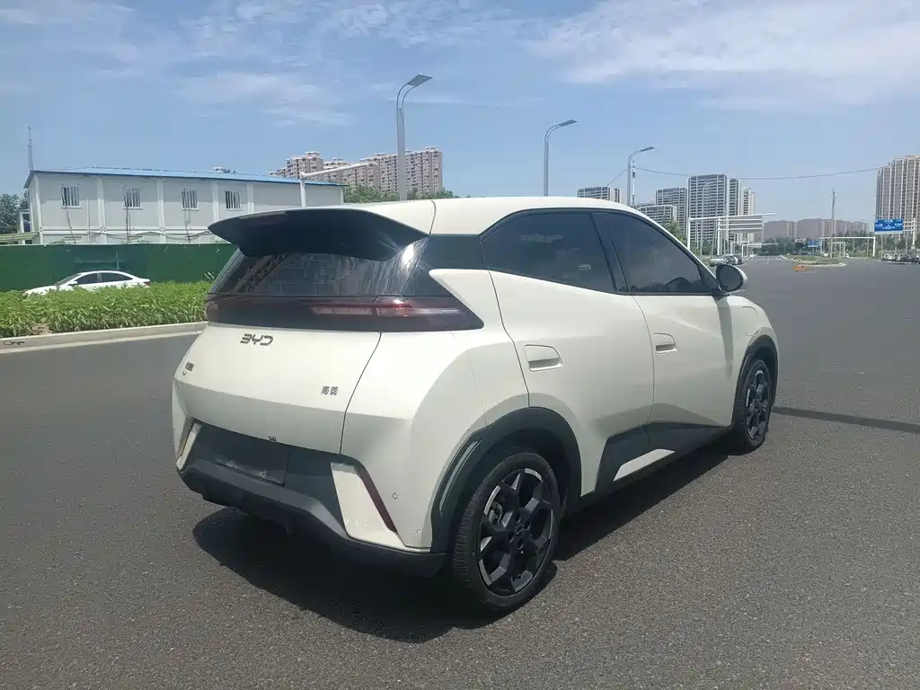 BYD Seagull 2024