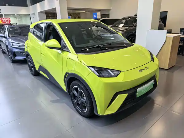 BYD Seagull 2023