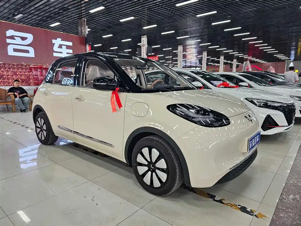 Wuling Bingo 2025