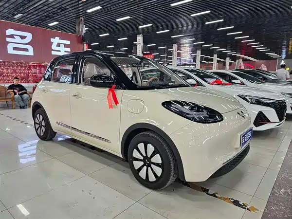 Wuling Bingo 2025