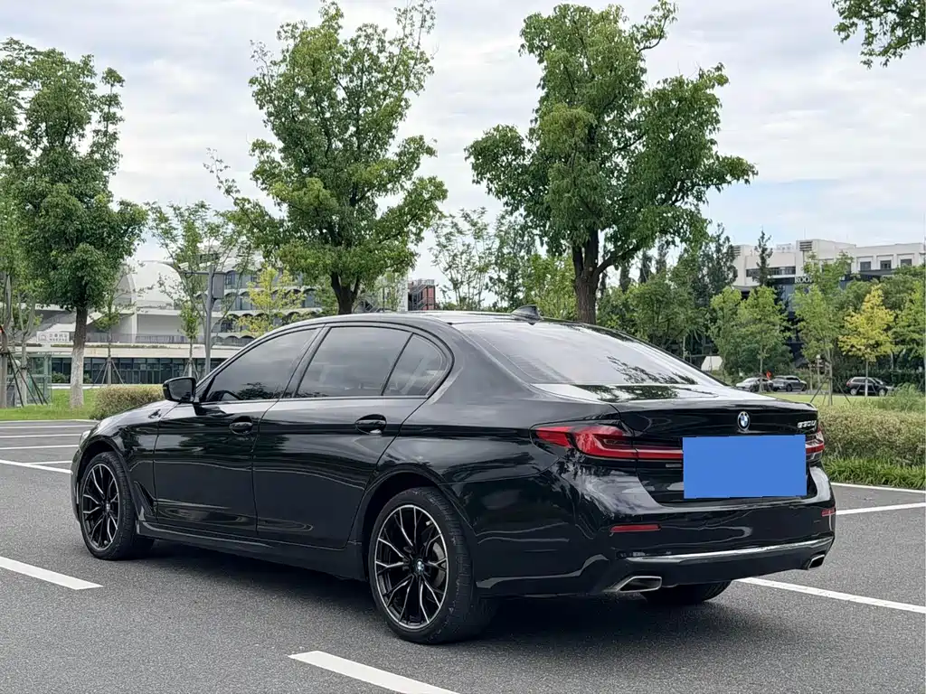 BMW 5 Series 2021