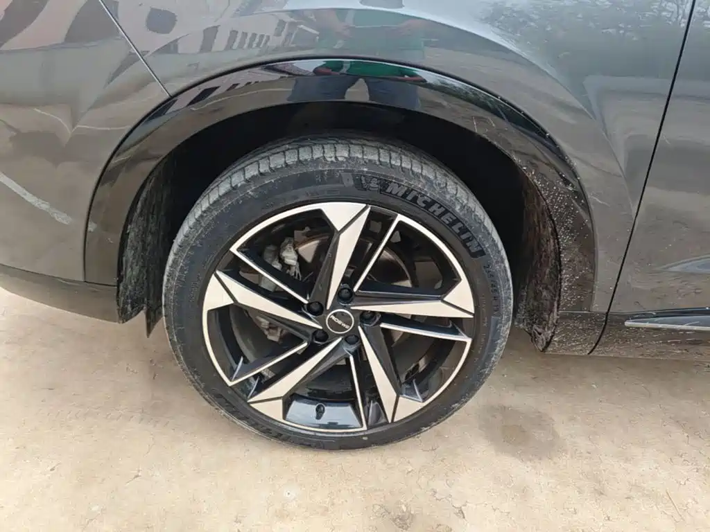 Roewe RX5 MAX 2022 — фото 25