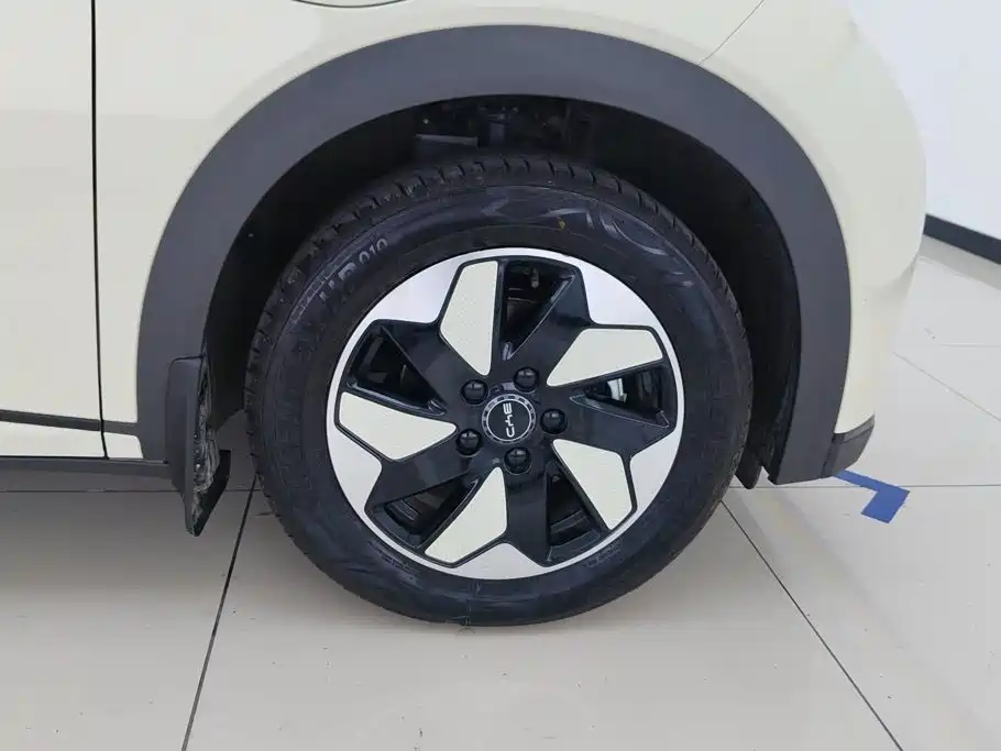 BYD Dolphin 2026