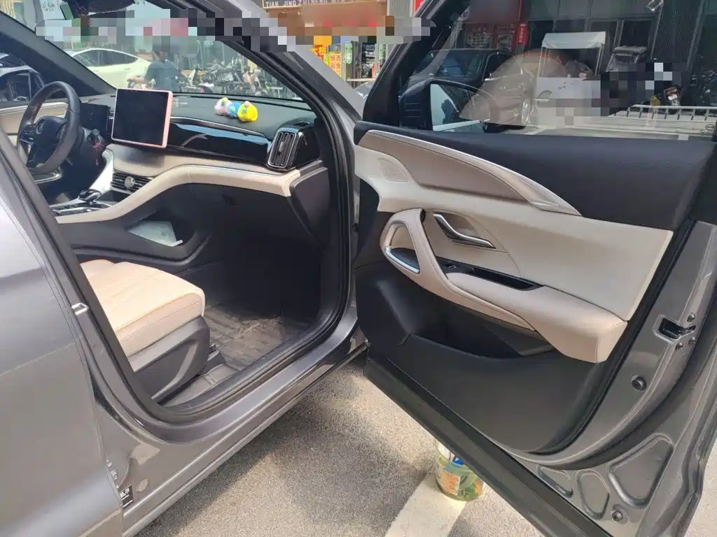 BYD Pro New Energy 2024 — фото 20
