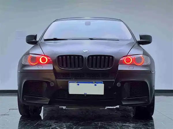 BMW X6 M 2010