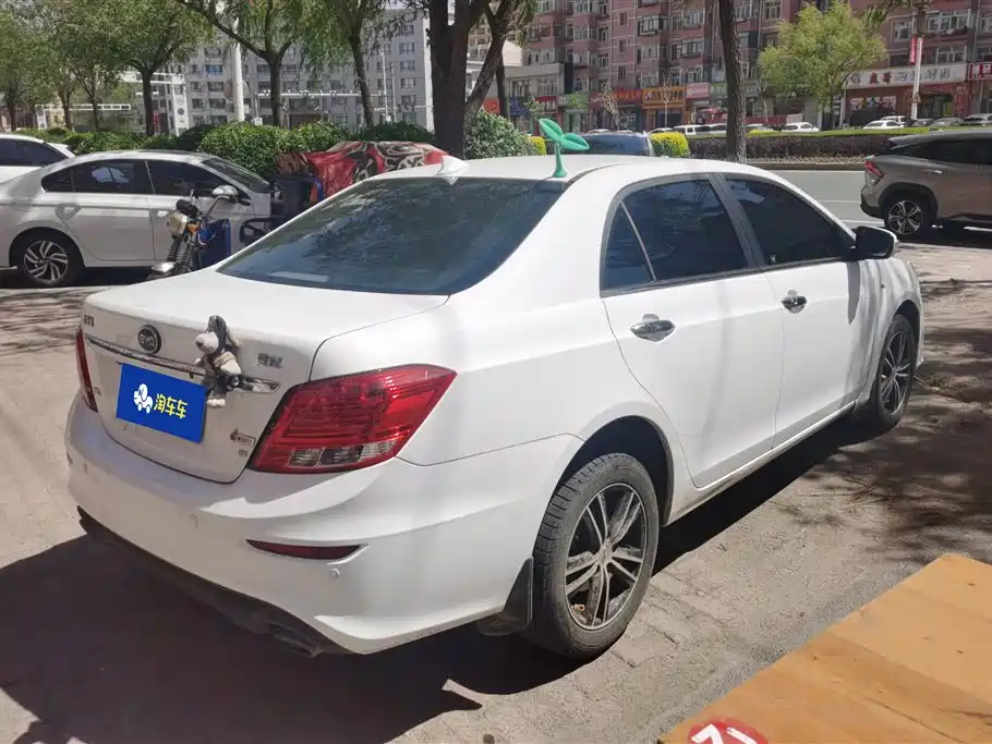 BYD Surui 2015 — фото 3