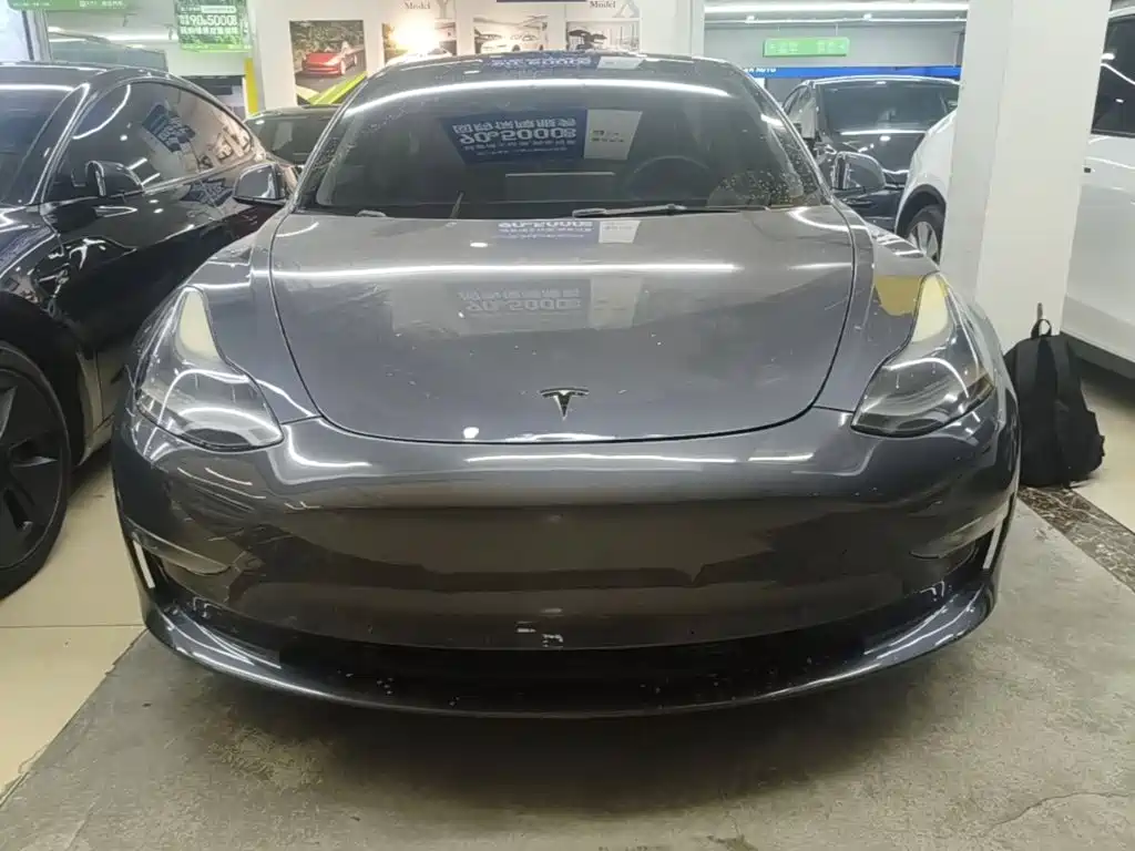 Tesla Model 3 2021